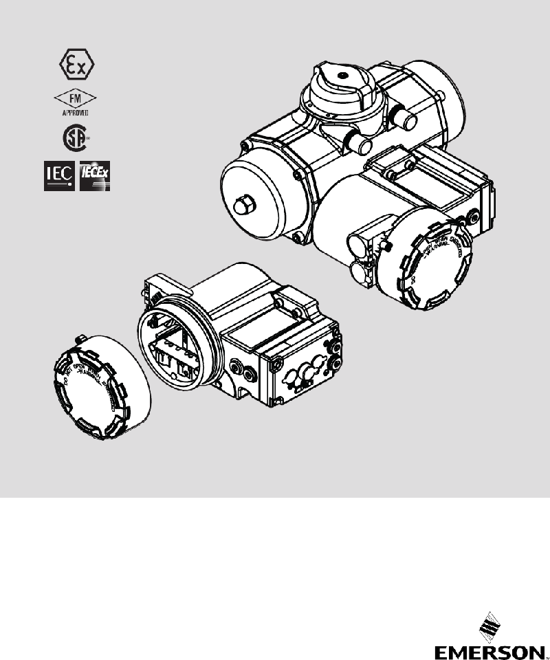 Emerson FieldQ Q100 Controller Product data sheet PDF View/Download