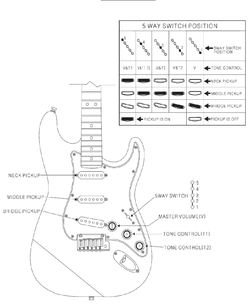 Squier Standard Stratocaster (Maple) Guitar Supplementary manual PDF ...